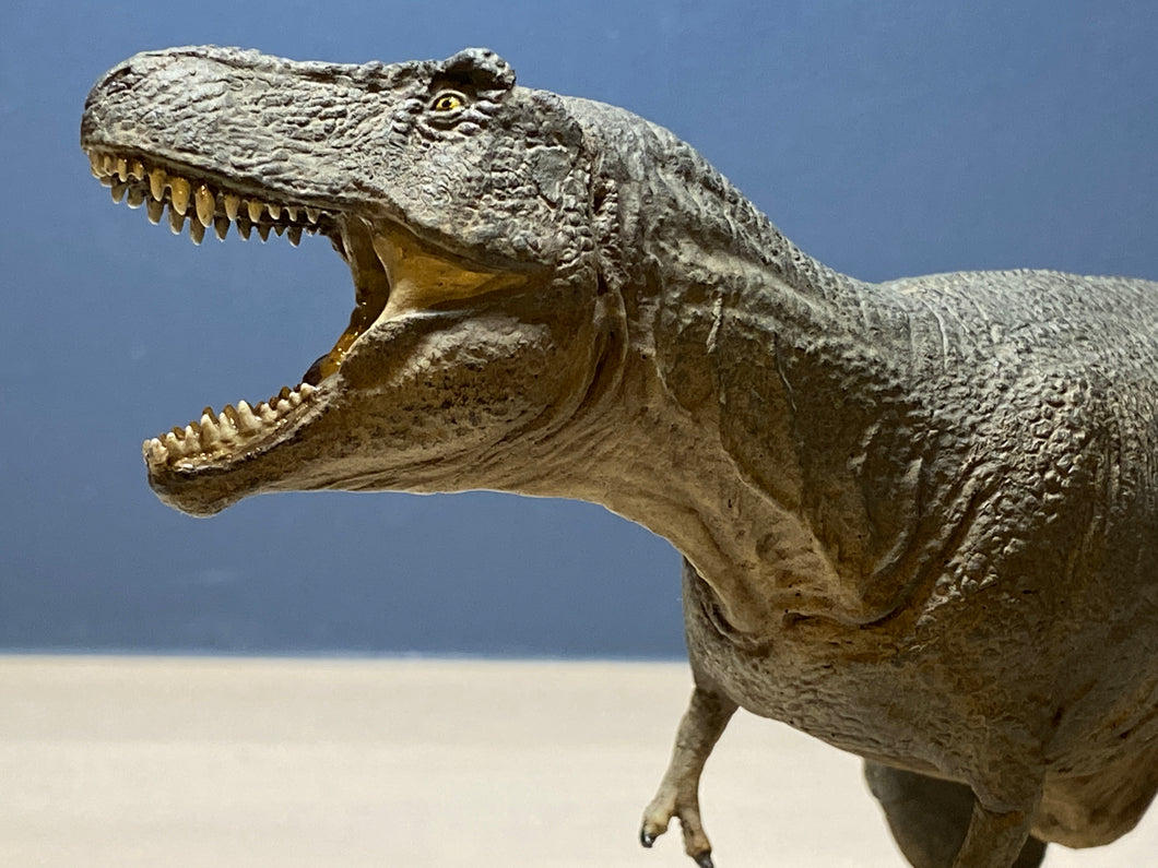 ティラノサウルス　レジンキャストキット