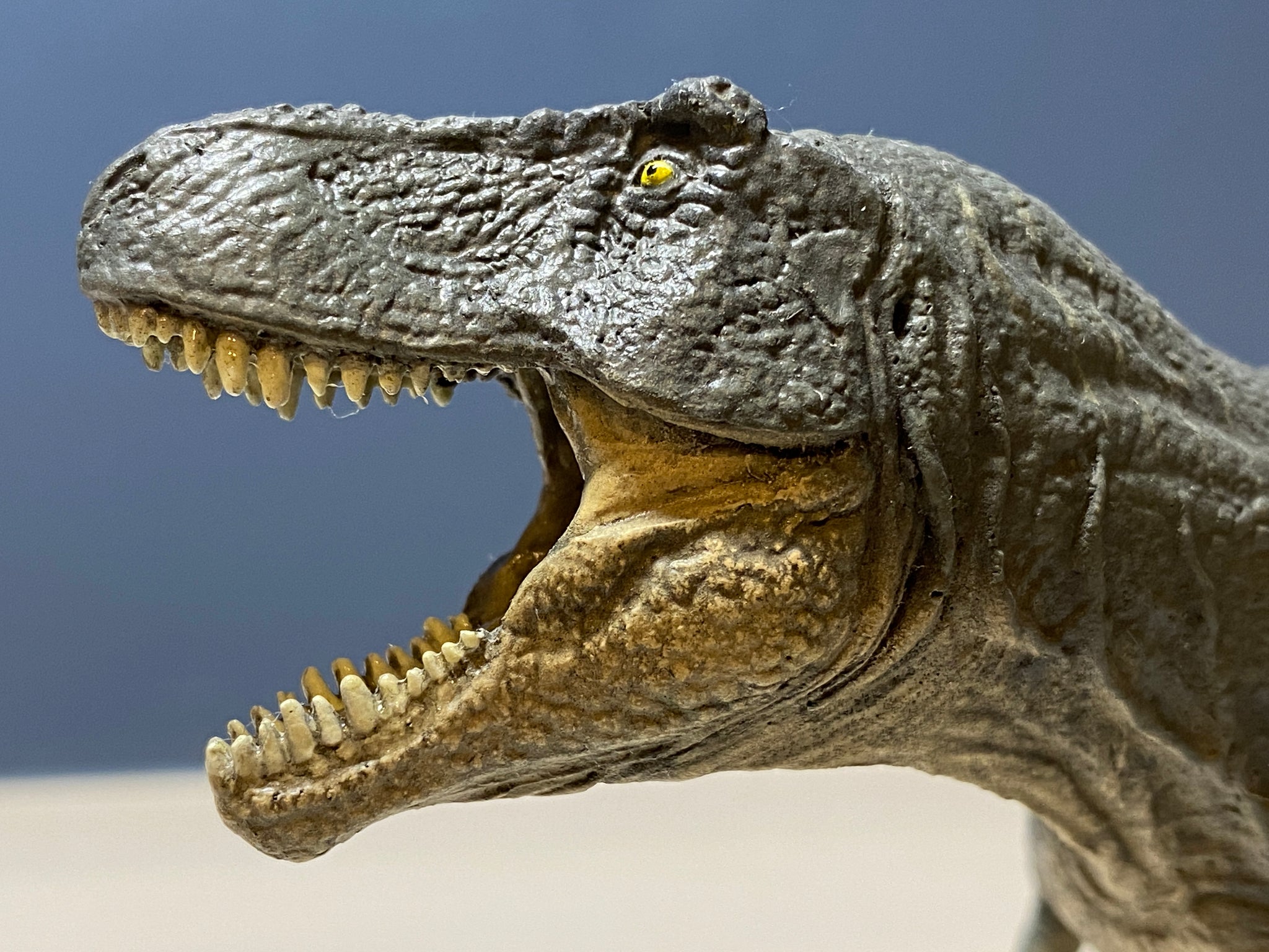 ティラノサウルス 塗装済み完成品 – MOON ART DESIGN